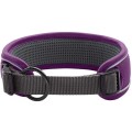 Hunter Obroża dla psa Divo fioletowa