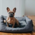 Hunter Sofa dla psa Ravina szara