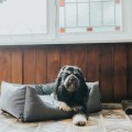Hunter Sofa dla psa Ravina szara