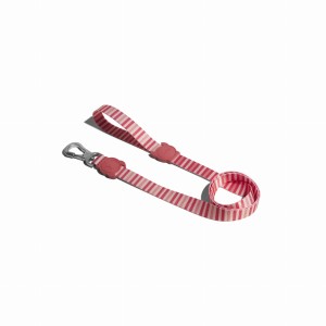 Zee Dog Smycz dla psa Peppermint