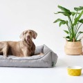 Hunter Sofa dla psa Eiby szara