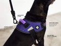 Zee Dog Szelki dla psa Fly Harness Wicked