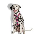 Zee Dog Szelki dla psa Unicorn