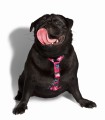 Zee Dog Szelki dla psa Unicorn