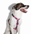 Zee Dog Szelki dla psa Unicorn