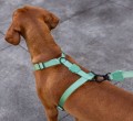 Zee Dog Szelki dla psa Army Green