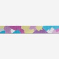 zeedog-dog-collar-candy_main-4_1296x.jpg
