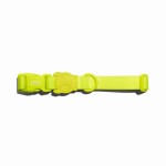Zee Dog Obroża dla psa Neopro 2.0 Lime