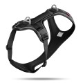 0102-0302-2-950_TOPP_01_Belka-Comfort-Harness-Black_Adobe_RGB_240PPI_2000x2000.jpg