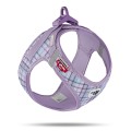 lavender caro.jpg