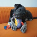 201339_001_live_23_1920x1920.jpg