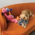 201350_001_live_23_1920x1920.jpg