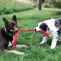 201372_001_live_23_1920x1920.jpg