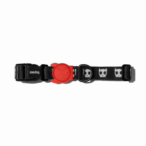 Zee Dog Obroża dla psa Skull 2.0 