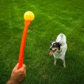 69517_007_live_23_1920x1920.jpg