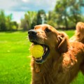 69517_006_live_23_1920x1920.jpg