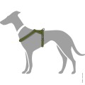68034_001_grafik_20_1920x1920.jpg