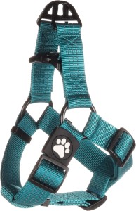 Flamingo Szelki dla psa Zorba turkusowe