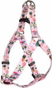 Flamingo Szelki dla psa Sera różowe we flamingi