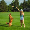 69519_001_live_23_1920x1920.jpg