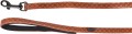 520793_E_01.jpg