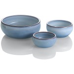 Hunter Miska ceramiczna dla psa Braga
