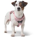 201771_002_image_24_1920x1920.jpg