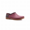 chaussure OROGIN aubergine.jpg