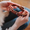 201968_001_live_23_1920x1920.jpg