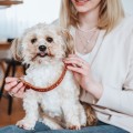 201968_003_live_23_1920x1920.jpg