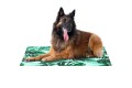 Freedog Mata chłodząca dla psa Eco Coll Bed Sabannah