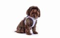 0201-0225-1-951-05 Glow curli Clasp Vest Harness Light Gray XS Malteser Brown.jpg