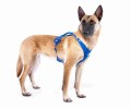 0102-0302-4-950-11 All New Belka Comfort 2XL Malinois.jpg