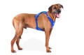 0102-0302-4-950-13 All New Belka Comfort 4XL Ridgeback.jpg