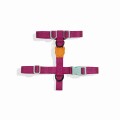 nox_sidus_h-harness_1_o.jpg
