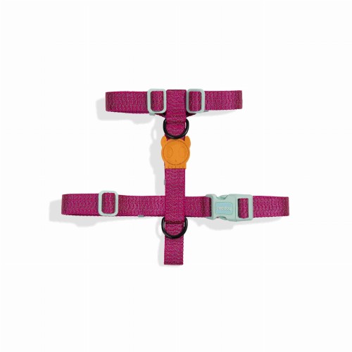 nox_sidus_h-harness_1_o.jpg