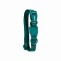 amazonia_4_collar_o.jpg