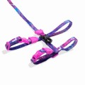 glitch_502_cat_harness_2_o.jpg