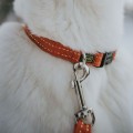 201923_002_live_24_1920x1920.jpg