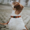 201923_003_live_24_1920x1920.jpg