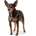 201936_001_image_23_1920x1920.jpg