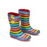 Evercreatures Niskie Kalosze damskie Rainbow