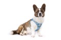 Vest Harness Air-Mesh LE25 Comic Turquoise Korgi XL.jpg