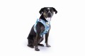 Vest Harness Air-Mesh LE25 Comic Tourquise Retro Mops L.jpg