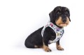 Vest Harness Air-Mesh LE25 Comic Light-Gray Dackel S.jpg