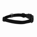 Zee Dog Airatg Holder Jelly