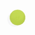 Zee Dog Airatg Holder Lime