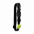 Zee Dog Airatg Holder Lime