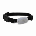 Zee Dog Galaxy Tag Holder Jelly