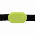 Zee Dog Galaxy Tag Holder Lime